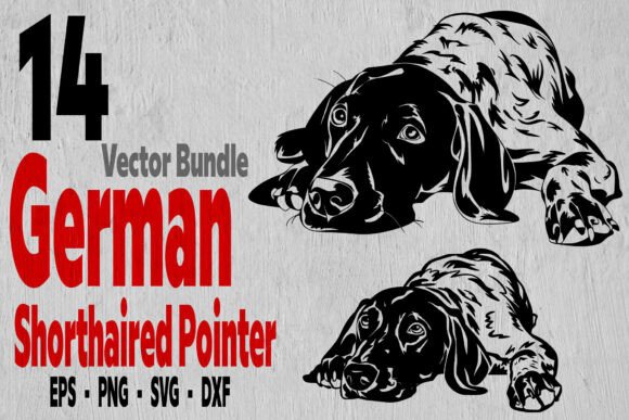 14 German Shorthaired Pointer Bundle Svg Review