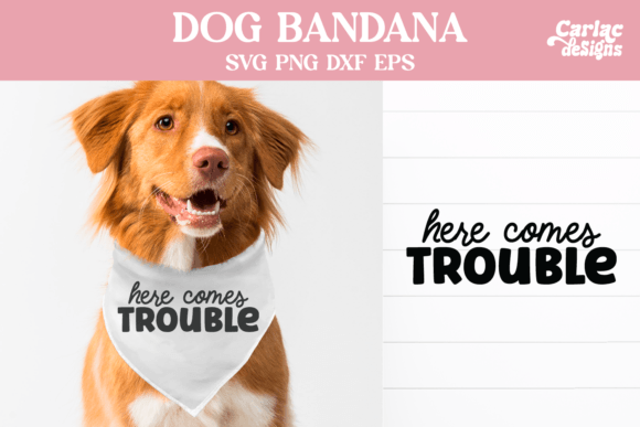 Dog Bandana SVG and Sublimation Review: A Designer's Take